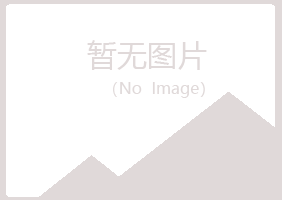 张掖山柳化学有限公司